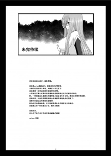 [valssu (Charu)] Melon ga Chou Shindou! R9 (Tales of the Abyss) [Chinese] [流星汉化] [Digital] - page 45