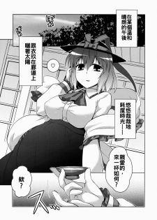 (Reitaisai 10) [CUNICULUS (Yositama)] Ikunin 2 (Touhou Project) [Chinese] [oo君個人漢化] - page 4