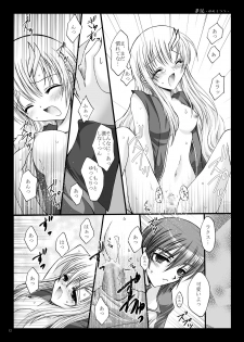 [ARC (Tamagawa Yukimaru)] Yume Utsutsu (Gundam Seed Destiny) [Digital] - page 13