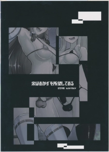 (C91) [Yo wa Okazu wo Shomou Shiteoru (Shian)] Futanari Reimu to Futanari Marisa ga Micro Bikini de Ichaicha Suru Hon (Touhou Project) - page 22