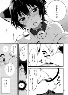 (Shota Scratch 26) [Aoiro Ichiza (Aoiro Ichigou)] Nora Neko to Hakuchuumu | 流浪猫和白日梦 [Chinese] [白猫汉化组] - page 17