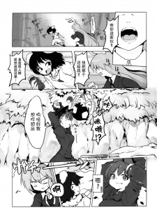 (C84) [RTD (Mizuga)] Chiisaku Naru Kusuri (Touhou Project) [Chinese] [Kanade汉化组] - page 4