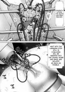 [RH Minus] Chitsu Hakai-kei Joshi 3 [English] [TSHH] - page 32