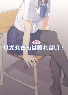 (C91) [Lily Lily Rose (Mibu Natsuki)] Koinumaru-san wa Kekkyoku Kotowarenai [Chinese] [无毒汉化组] [Decensored] - page 25