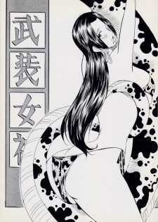 [Busou Megami (Kannaduki Kanna)] PIECE OF GIRL'S II (One Piece) - page 18
