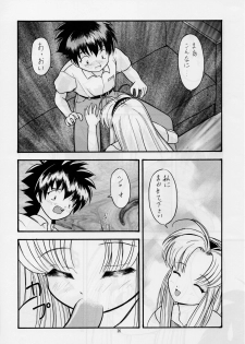 (C55) [AB NORMAL (NEW AB, Hoozuki Naru)] MINOR LEAGUE 3A (Record of Lodoss War, Mamotte Shugogetten!) - page 25
