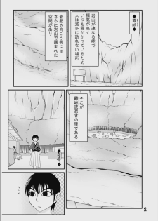 [七つ星] 【くノ一の掟】二輪の花【第二話】 - page 2