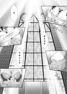 [Sinbo Tamaran, Takeuchi Ken] Harem Wedding The Sweet Honeymoon [Chinese] [夜擼死苦個人漢化] [Digital] - page 9