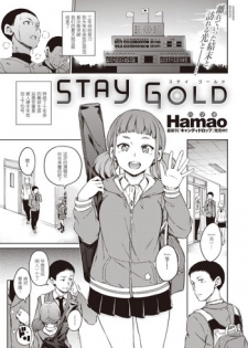 [Hamao] STAY GOLD (COMIC Kairakuten 2016-11) [Chinese] [拿着黄本抵工资汉化组关爱单身狗支部] [Digital]