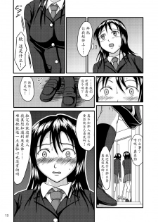 (C76) [Namiroji (Shiina Nami)] Chanto Toilet de Shimashou [Chinese] [魔劍个人汉化] - page 13