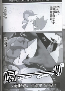 (Kansai! Kemoket 5) [Fuwatto (who)] Pokéda | 宝可堕 (Pokémon) [Chinese] [虾皮工作组] - page 25