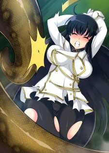 [Mist Night] Hell Of Swallowed Ninja (Ikaruga) - page 17