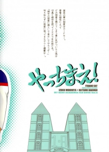 (SPARK11) [Itadaki CAT (Nekota Kojirow)] Yacchimae! (Boku no Hero Academia) - page 20
