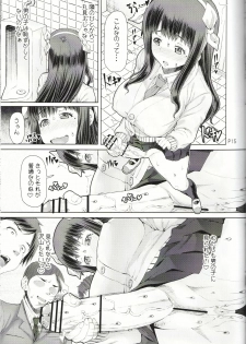 (C91) [Doronuma Kyoudai (RED-RUM) Futa Ona Saishuushou - page 16