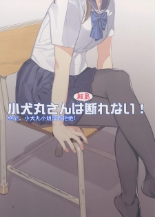 (C91) [Lily Lily Rose (Mibu Natsuki)] Koinumaru-san wa Kekkyoku Kotowarenai [Chinese] [蝉時雨个人汉化] [Decensored] - page 12