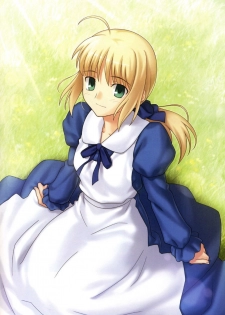 [TYPE-MOON (Takeuchi Takashi)] Fate/stay nigh FAKE Avalon(fate/stay night)t(chinese) - page 28