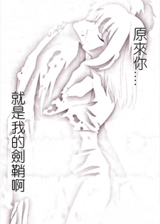 [TYPE-MOON (Takeuchi Takashi)] Fate stay nigh saber Avalon(fate stay night)t(chinese) - page 9