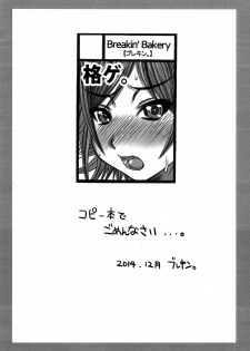 (C87) [Breakin'Bakery (Sakaki Utamaru)] Breakin' Rakugakichou 2014 (Dead or Alive) - page 2