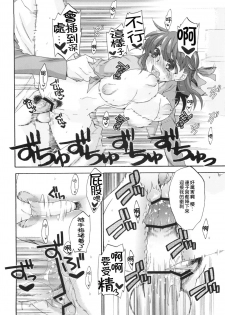 (COMIC1☆6) [Takesatorispa (niwacho, Takenoko Seijin)] rose hip (Fate/stay night) [Chinese] - page 21