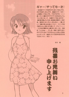 (C58) [SHEEPCLOUD (Hitsujiko)] Digital Syndrome (Digimon Adventure 02) - page 2