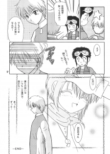 (C58) [SHEEPCLOUD (Hitsujiko)] Digital Syndrome (Digimon Adventure 02) - page 19