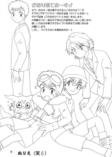 (C58) [SHEEPCLOUD (Hitsujiko)] Digital Syndrome (Digimon Adventure 02) - page 17