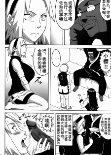 (C87) [NARUHO-Dou (Naruhodo)] SakuHina (NARUTO) [Chinese] - page 5