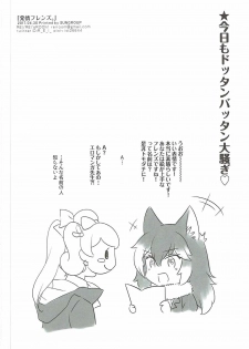 (COMIC1☆11) [REI's ROOM (REI)] Hatsujou Friends. (Kemono Friends) - page 17