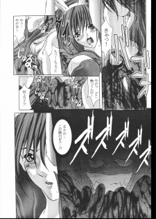 [NINE TAIL (GRIFON)] COLLECTERS (Ragnarok Online) - page 6