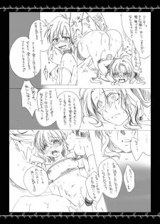 (C87) [Gekka no Neko (Oyuki)] Catastrophe (Puyo Puyo) - page 13