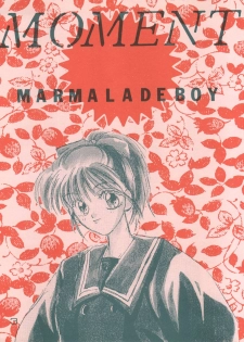 (C49) [Shanghai Honey Bee, Jen-Jan] Moment (Marmalade Boy) - page 3