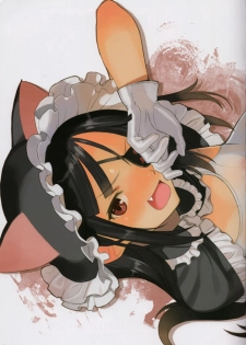 (CT22) [Lily Lily Rose (Mibu Natsuki)] LOVE SECRET2 (Senran Kagura) - page 19