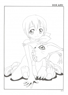 (C59) [Studio Tar (Kyouichirou, Shamon)] Latinum Narikin! (Digimon Adventure, Shaman King, One Piece) - page 30