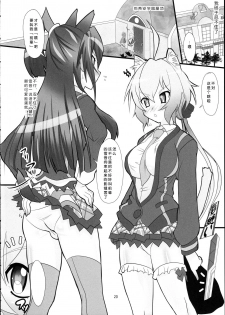 (C87) [Neko Irazu (Hinoki)] Flower (Senki Zesshou Symphogear) [Chinese] [OTONA-IGNITED-汉化组] [Incomplete] - page 3