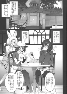 (Futaket 13) [Circle Sigma (Awamori Ichitarou)] Yabanna Friends (Kemono Friends) - page 3