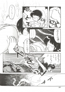 [MIRAGE (Various)] Kamoku no Utage (Maison Ikkoku) - page 24