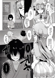 (Reitaisai14) [Kuusou Monochrome (Abi)] Sasimin Patche (Touhou Project) [Chinese] [CE家族社] - page 5