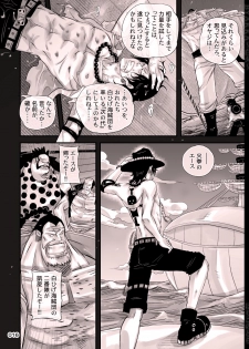 [Hariko no Tora (Midoh Torako)] BYAKKA (One Piece) [Digital] - page 16