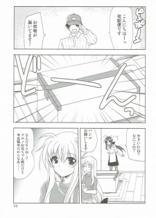 (SC2016 Autumn) [PLUM (Kanna)] Magical SEED Pillow (Mahou Shoujo Lyrical Nanoha) - page 2