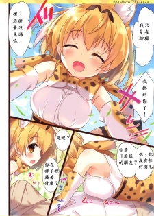 (Japariket) [Ame nochi Yuki (Ameto Yuki)] Mofu Mofu Friends (Kemono Friends) [Chinese] [深夜飆車老司機個人漢化] - page 4