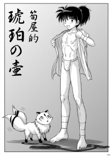 [Takenoko Gohan, Buaifamu (Takenokoya)] Kohaku no Tsubo Manga-ban (Inuyasha) [Digital] - page 3