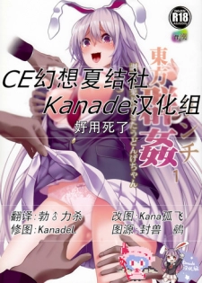 (Reitaisai 14) [Haitokukan] Touhou Lynch 1 Choushi ni Norisugita Udonge-chan (Touhou Project) [Chinese] [CE幻想夏结社xKanade汉化组]