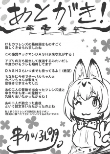 (COMIC1☆11) [Omodume (Kushikatsu Koumei)] Omodume BOX 38 (Kemono Friends) - page 28