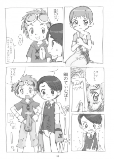 (C60) [Sanketsushuu, TURING GAME (Sanzui)] MY LOVER IN THE BLUR OF THE GHOSTS (Digimon Tamers) - page 34