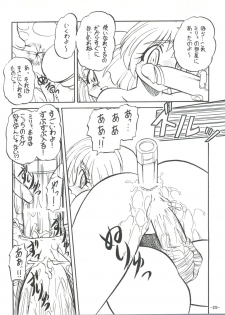 (C54) [Himawari Endan (Chunrouzan, Gakimagari)] BTB-23 DOUBLE INCOME (Lost Universe) - page 27