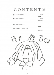 (C54) [Himawari Endan (Chunrouzan, Gakimagari)] BTB-23 DOUBLE INCOME (Lost Universe) - page 4