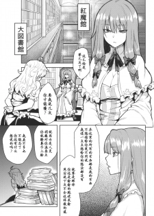 (KoiMari4) [Hirojuu Renshuuchou (Hiroya)] -mariho- (Touhou Project) [Chinese] [靴下汉化组] - page 4