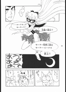 [Dotou no M Kikaku] うさぎがピョン!! (Bishoujo Senshi Sailor Moon) - page 33