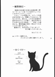 [Dotou no M Kikaku] うさぎがピョン!! (Bishoujo Senshi Sailor Moon) - page 37