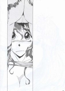 (C63) [Fresnel Lens (Hirano Kana)] Sai (Bishoujo Senshi Sailor Moon, Sentimental Graffiti, Martian Successor Nadesico) - page 47